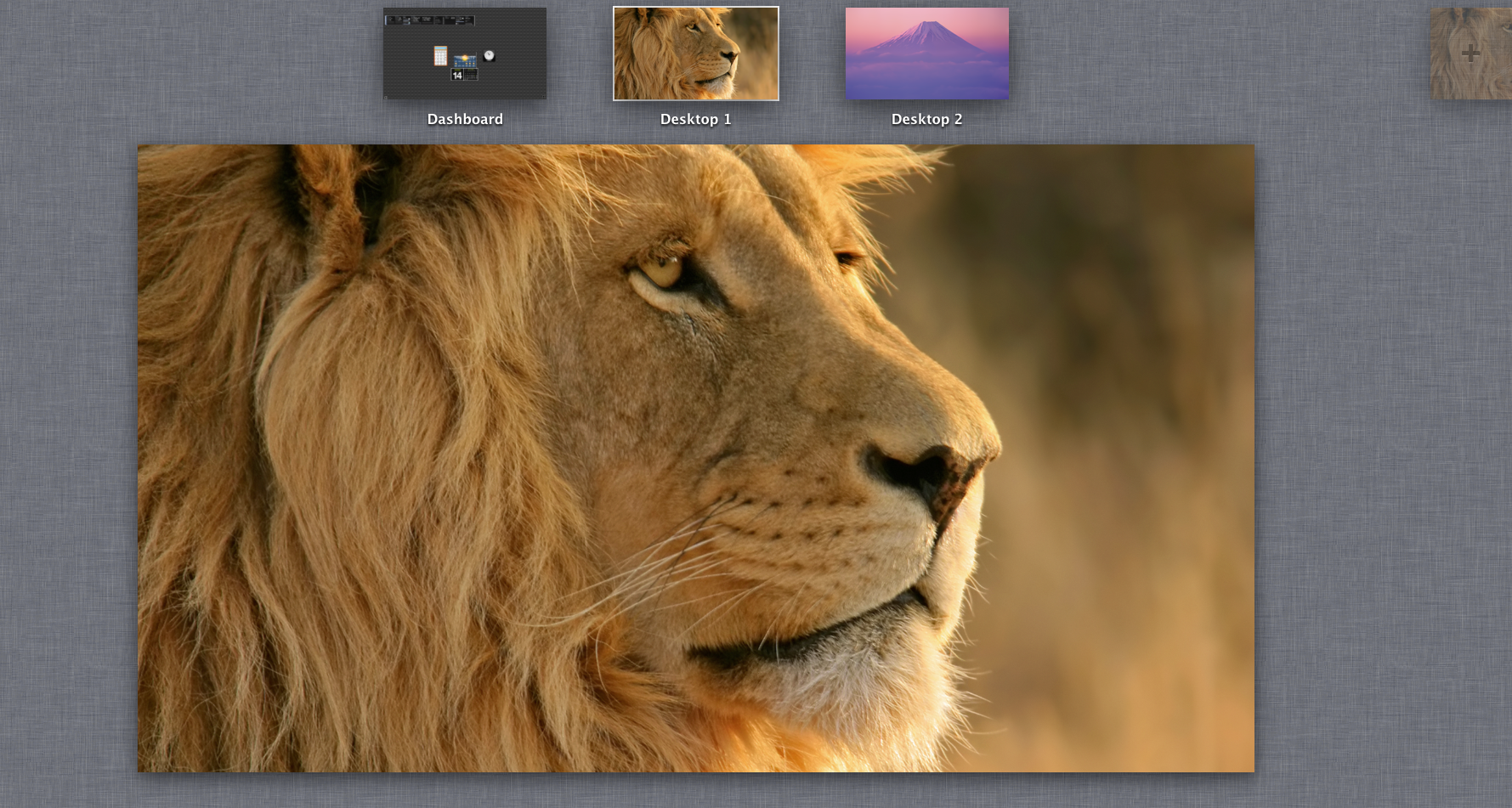 Mac OS X Lion Mission Control