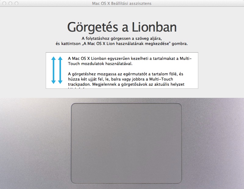 Grgets a Lion-ban