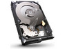 Seagate Barracuda 2 TB (ST2000DM001)