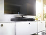 Denon DHT-T110