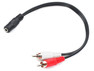 iEAST AudioCast (BA10)