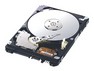 Samsung  500 GB (HM500JI)