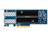Synology E10G21-F2