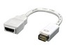 Dinic Mini DVI-HDMI adapter