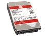 WD Red Plus 10 TB (WD100EFGX)