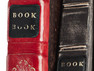 Twelve South BookBook Pro 13 Red