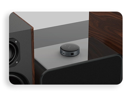 WiiM Mini
